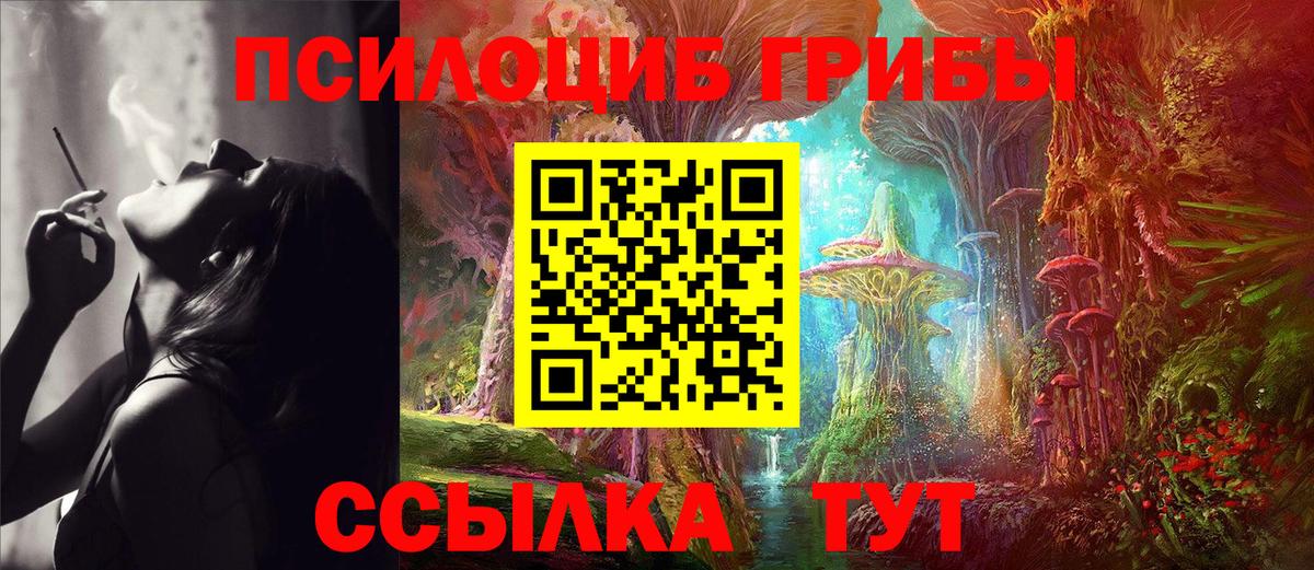 Псилоцибиновые грибы Psilocybe  Вход с VPN  купить   Галлюциногенные грибы Psilocybe  Сергиев Посад 